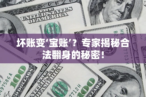 北京坏账变‘宝账’？专家揭秘合法翻身的秘密！