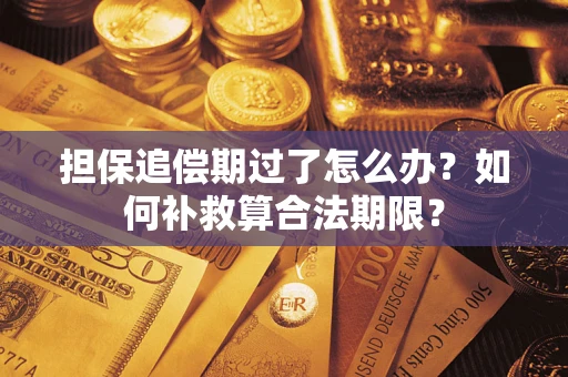 北京担保追偿期过了怎么办？如何补救算合法期限？