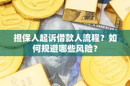 北京担保人起诉借款人流程？如何规避哪些风险？