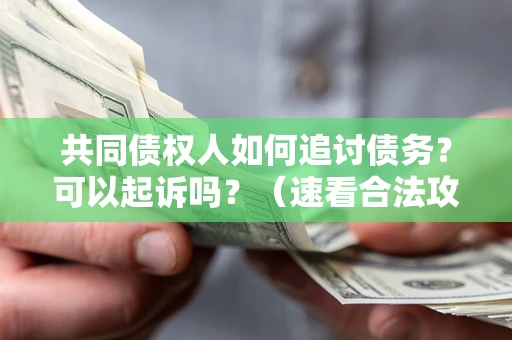 北京共同债权人如何追讨债务？可以起诉吗？（速看合法攻略）