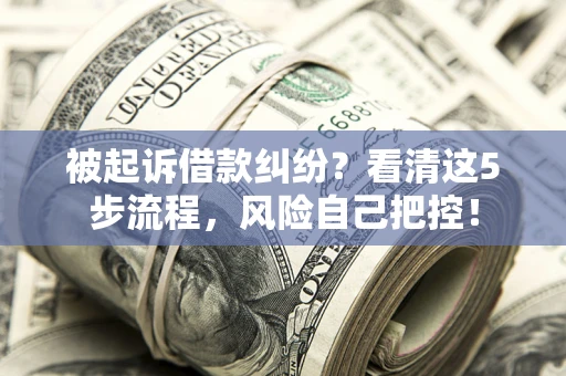 北京被起诉借款纠纷？看清这5步流程，风险自己把控！