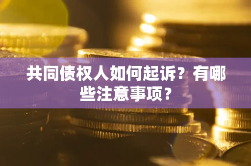 北京共同债权人如何起诉？有哪些注意事项？